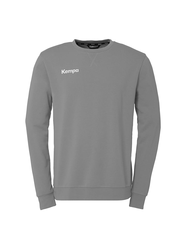 Толстовка TRAINING TOP цвета каменно-серый Kempa
Толстовка TRAINING TOP цвета каменно-серый Kempa