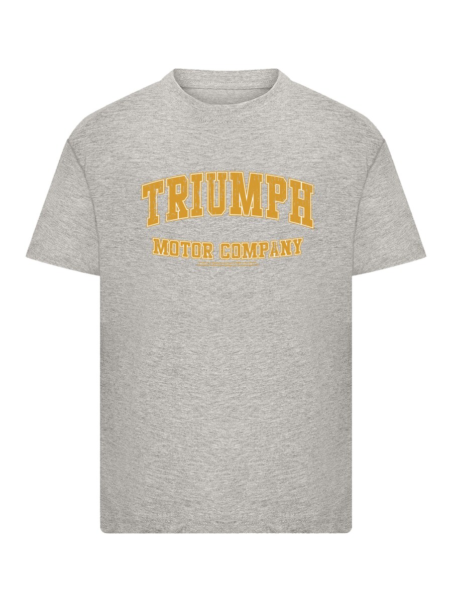 Рубашка F4NT4STIC British Motor Heritage Triumph Motor Company, серый
Рубашка F4NT4STIC British Motor Heritage Triumph Motor Company, серый