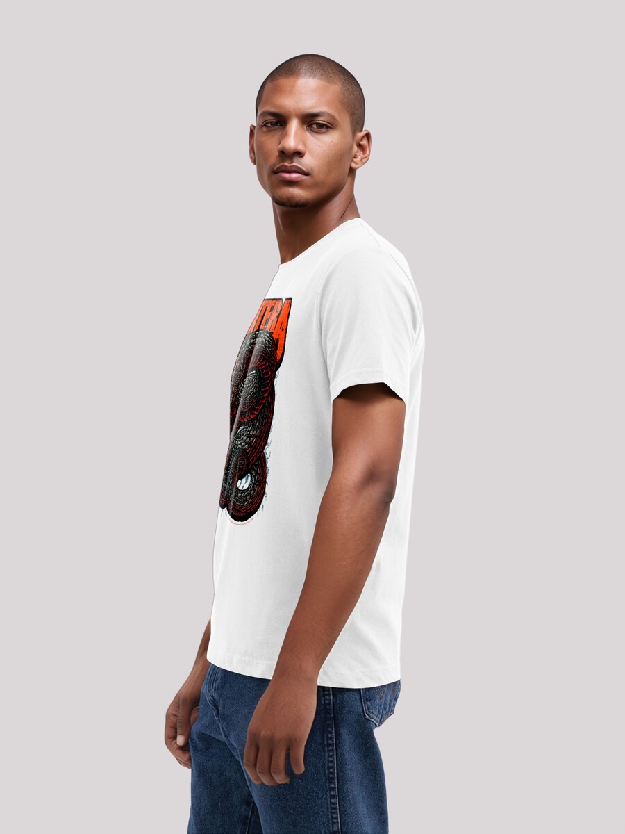 Рубашка F4NT4STIC Pantera Venomous Snake, белый
Рубашка F4NT4STIC Pantera Venomous Snake, белый