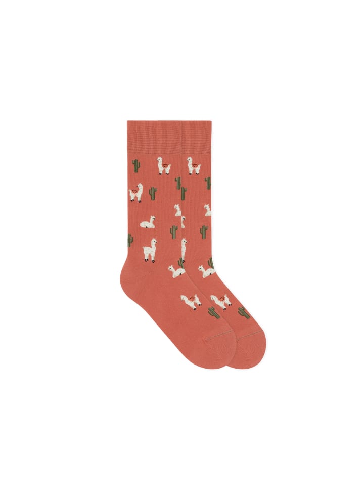 Носки von Jungfeld, красный
Носки von Jungfeld, красный