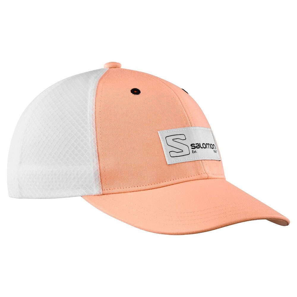 Бейсболка Salomon Trucker Curved, оранжевый
Бейсболка Salomon Trucker Curved, оранжевый