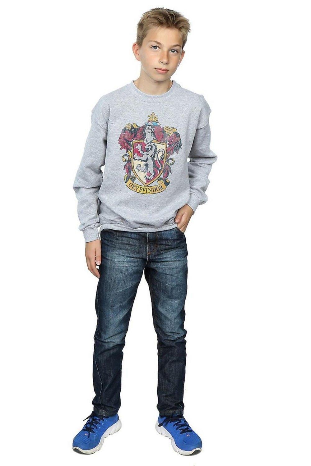 Толстовка Гриффиндора Harry Potter, серый
Толстовка Гриффиндора Harry Potter, серый