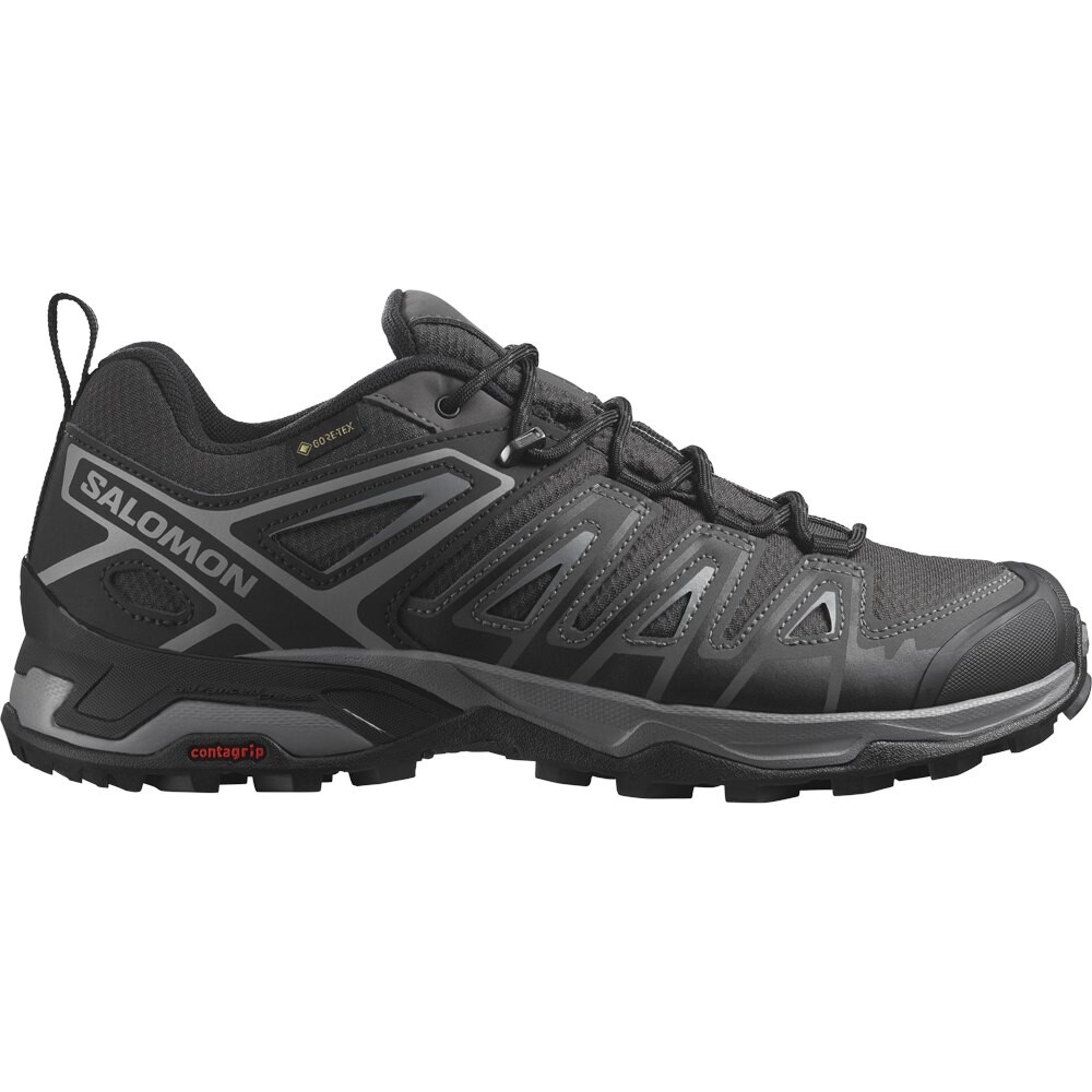 Походная обувь Salomon X Ultra Pioneer Goretex, серый
Походная обувь Salomon X Ultra Pioneer Goretex, серый