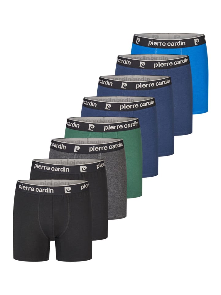 Боксеры Pierre Cardin, разноцветный
Боксеры Pierre Cardin, разноцветный