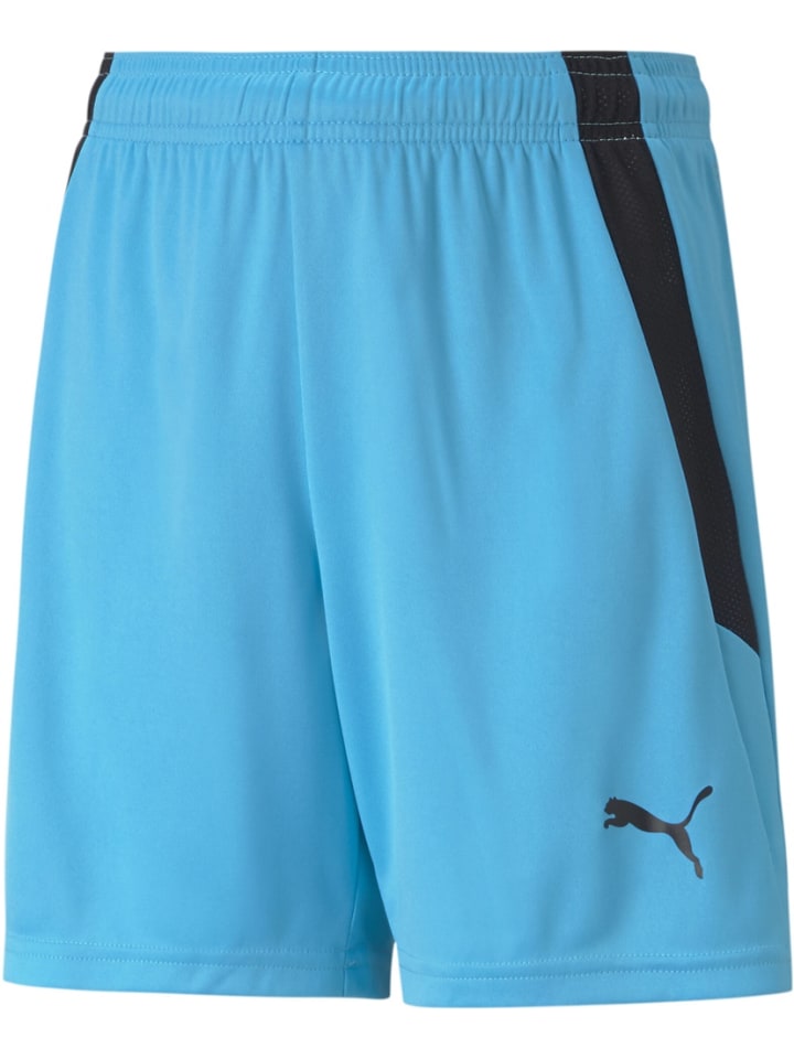 Спортивные шорты TeamLIGA Shorts Jr синего цвета Puma
Спортивные шорты TeamLIGA Shorts Jr синего цвета Puma