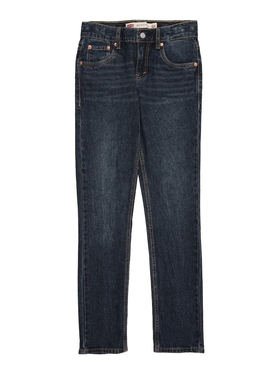 Узкие джинсы Levi's Kids 512, темно-синий
Узкие джинсы Levi's Kids 512, темно-синий