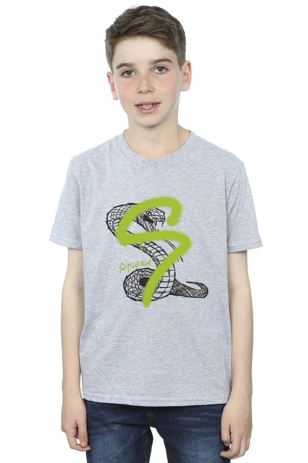 Футболка Слизерин с поп-спрей Harry Potter, серый
Футболка Слизерин с поп-спрей Harry Potter, серый