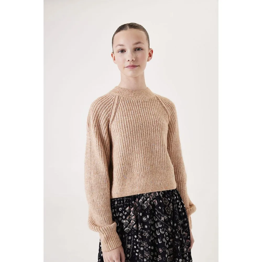 Свитер Garcia T42644, коричневый
Свитер Garcia T42644, коричневый