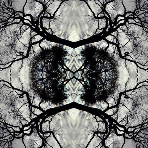 CD диск Rudolph, Adam: Sonic Mandala Go: Organic Orchestra
CD диск Rudolph, Adam: Sonic Mandala Go: Organic Orchestra