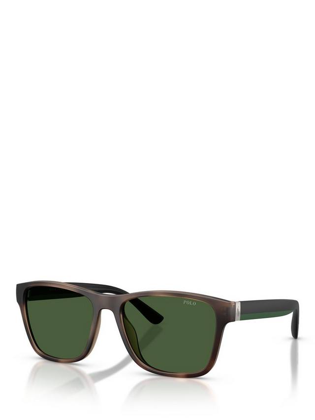 Polo PH4229U мужские квадратные солнцезащитные очки Ralph Lauren, Havana/Green, Коричневый, Polo PH4229U мужские квадратные солнцезащитные очки Ralph Lauren, Havana/Green
Polo PH4229U мужские квадратные солнцезащитные очки Ralph Lauren, Havana/Green, Коричневый, Polo PH4229U мужские квадратные солнцезащитные очки Ralph Lauren, Havana/Green