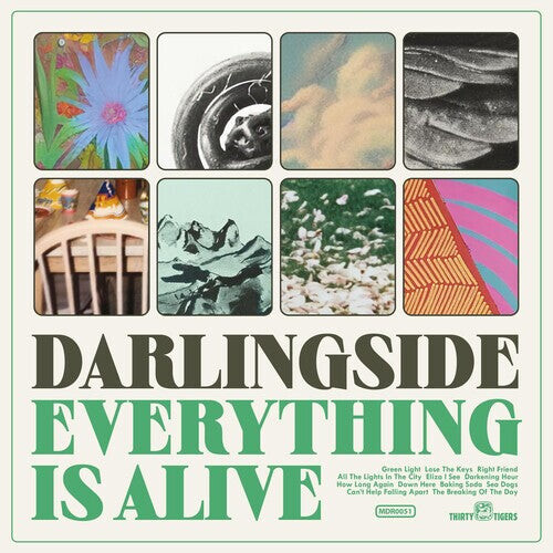 Виниловая пластинка Darlingside: Everything Is Alive
Виниловая пластинка Darlingside: Everything Is Alive