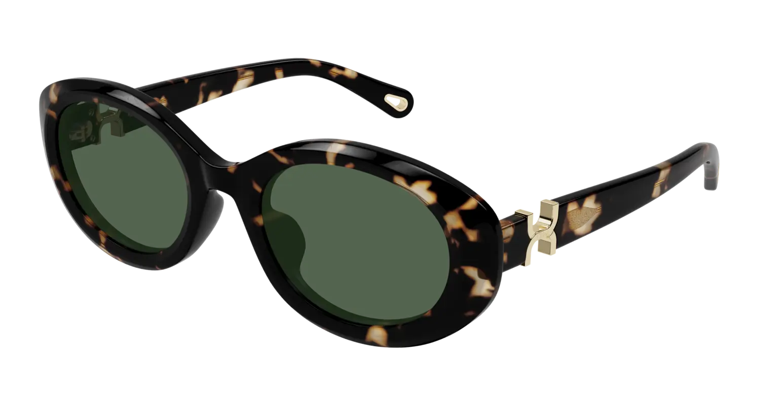 Женские солнцезащитные очки CH0323SK CHLOE
Женские солнцезащитные очки CH0323SK CHLOE