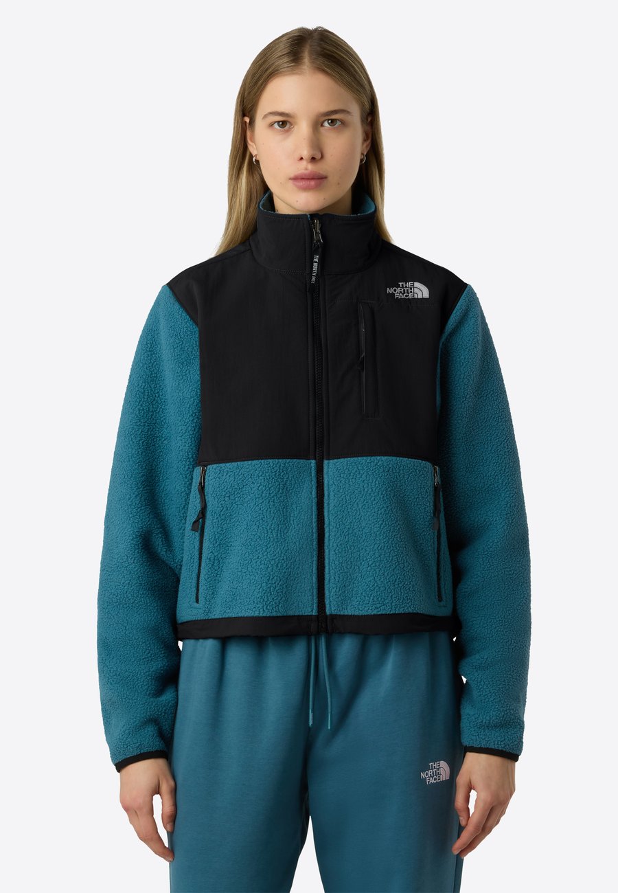 Флисовая куртка The North Face W RETRO DENALI JACKET, Space/Light Blue
Флисовая куртка The North Face W RETRO DENALI JACKET, Space/Light Blue