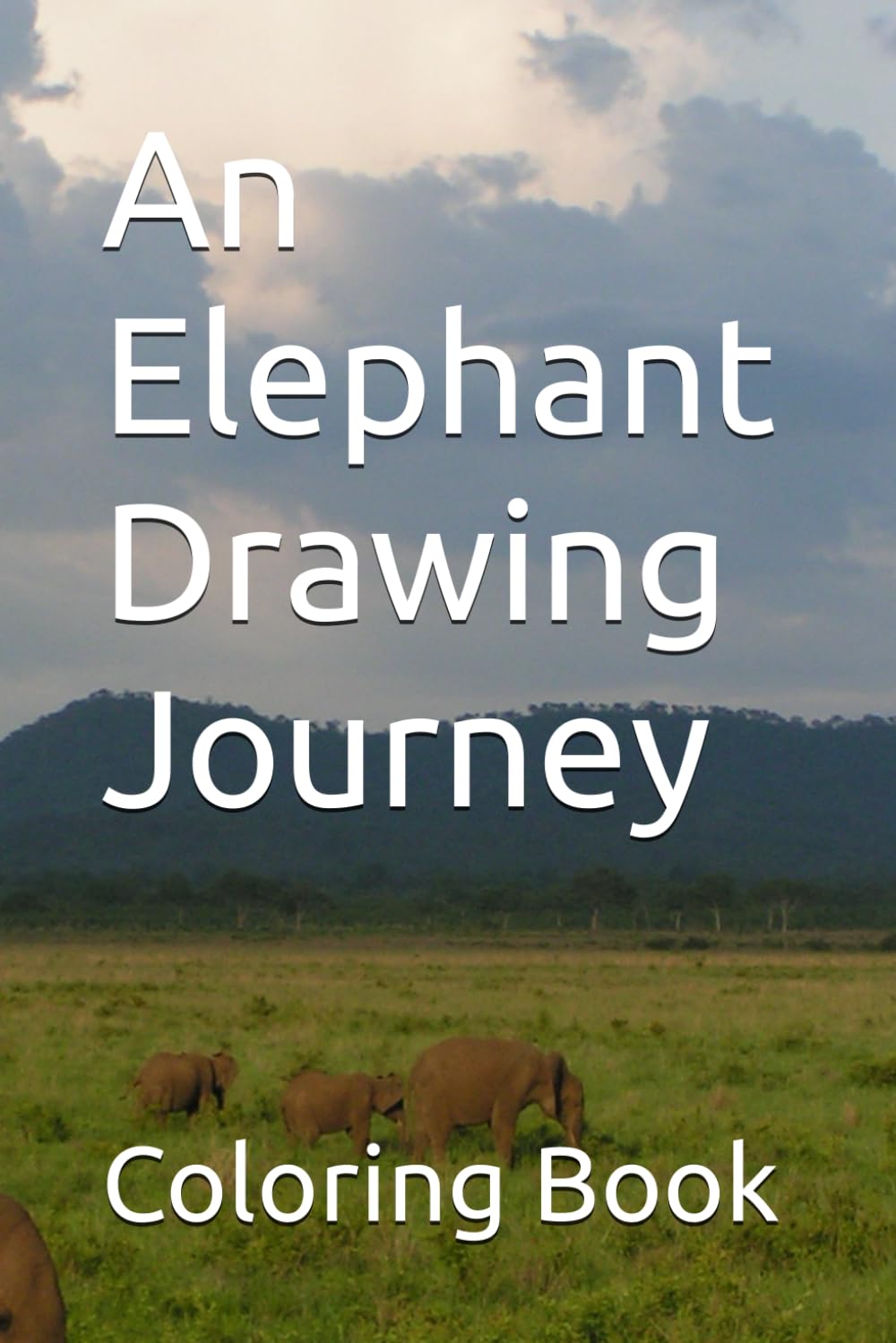 An Elephant Drawing Journey (Independently published)
An Elephant Drawing Journey (Independently published)