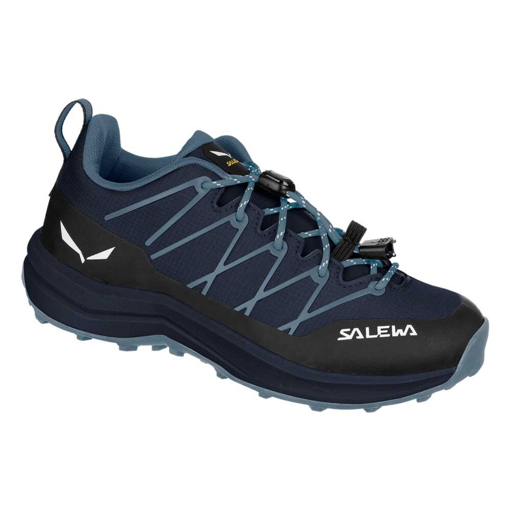 Беговые кроссовки Salewa Wildfire 2 K Trail, синий
Беговые кроссовки Salewa Wildfire 2 K Trail, синий