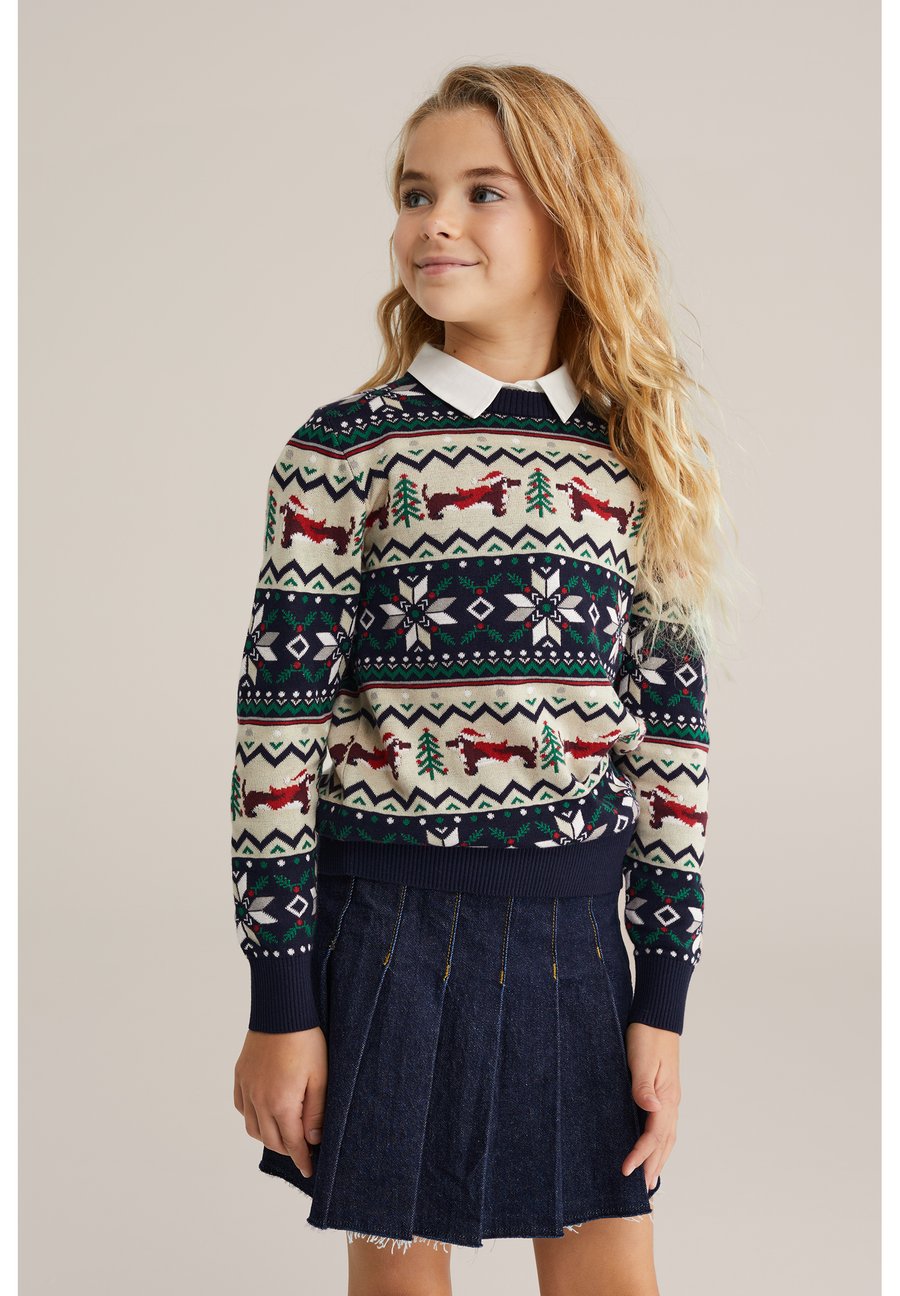 Джемпер WE Fashion CHRISTMAS, Navy Blue/Mottled Dark Blue
Джемпер WE Fashion CHRISTMAS, Navy Blue/Mottled Dark Blue