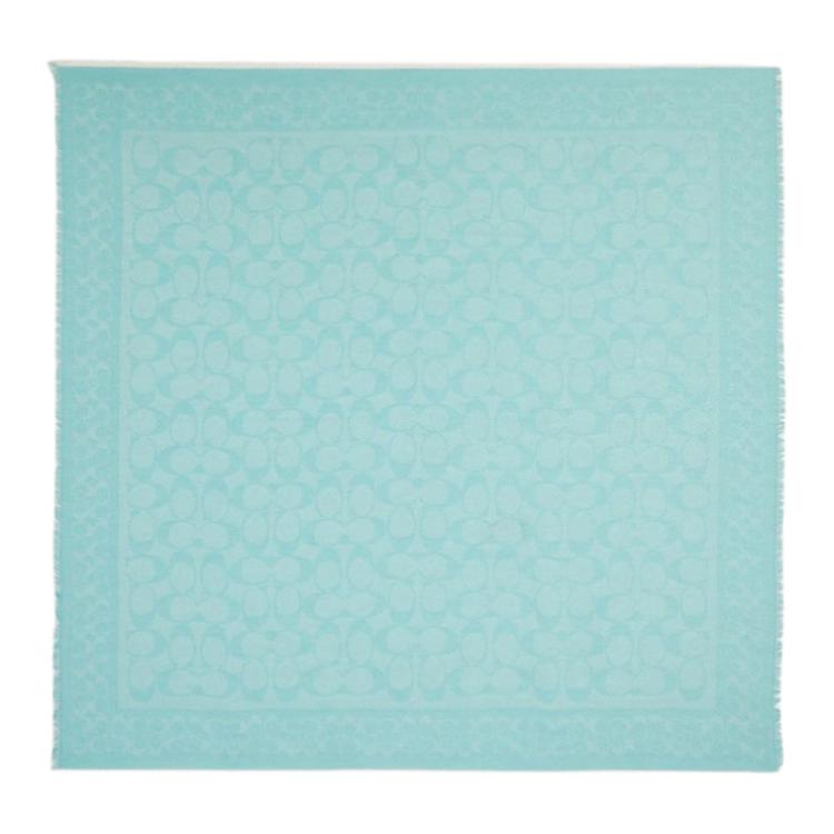 COACH Хлопковый вязаный шарф женский голубой
COACH Хлопковый вязаный шарф женский голубой