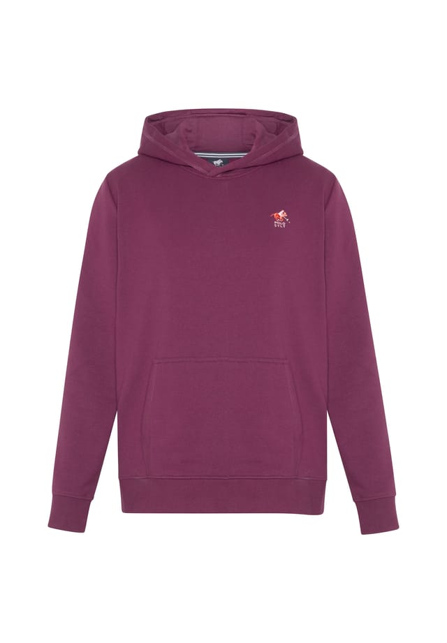 Толстовка с капюшоном и логотипом в разноцветном исполнении Polo Sylt, цвет 19-2315 grape wine
Толстовка с капюшоном и логотипом в разноцветном исполнении Polo Sylt, цвет 19-2315 grape wine
