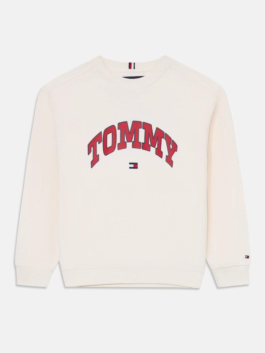Толстовка TOMMY HILFIGER Varsity Sweat Junior, от белого
Толстовка TOMMY HILFIGER Varsity Sweat Junior, от белого