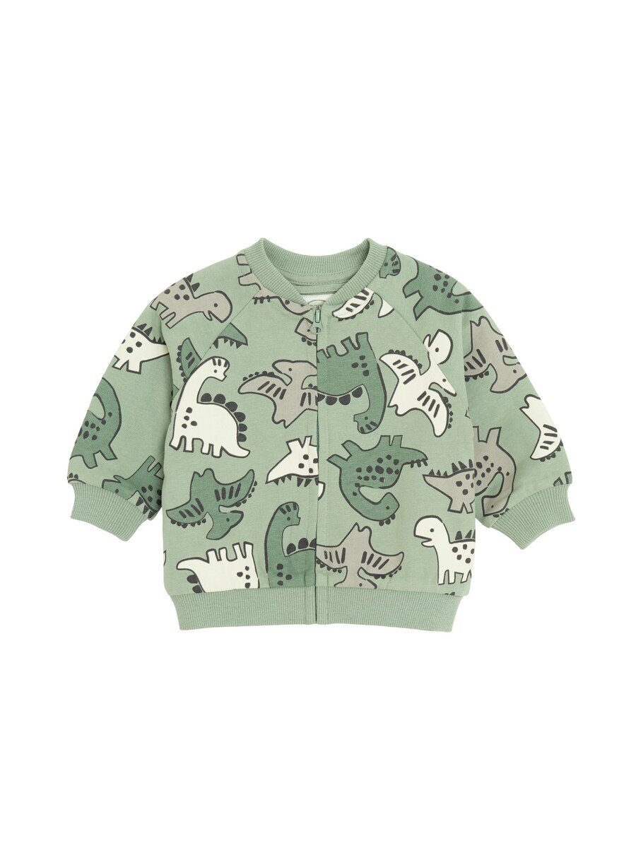 Толстовка с капюшоном на молнии Cool Club, Fir/Pastel Green
Толстовка с капюшоном на молнии Cool Club, Fir/Pastel Green