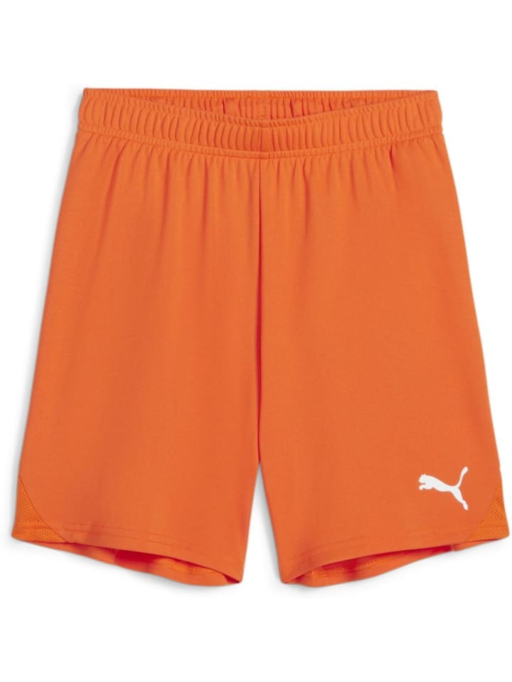 Спортивные шорты TeamGoal Shorts Jr оранжевого цвета Puma
Спортивные шорты TeamGoal Shorts Jr оранжевого цвета Puma