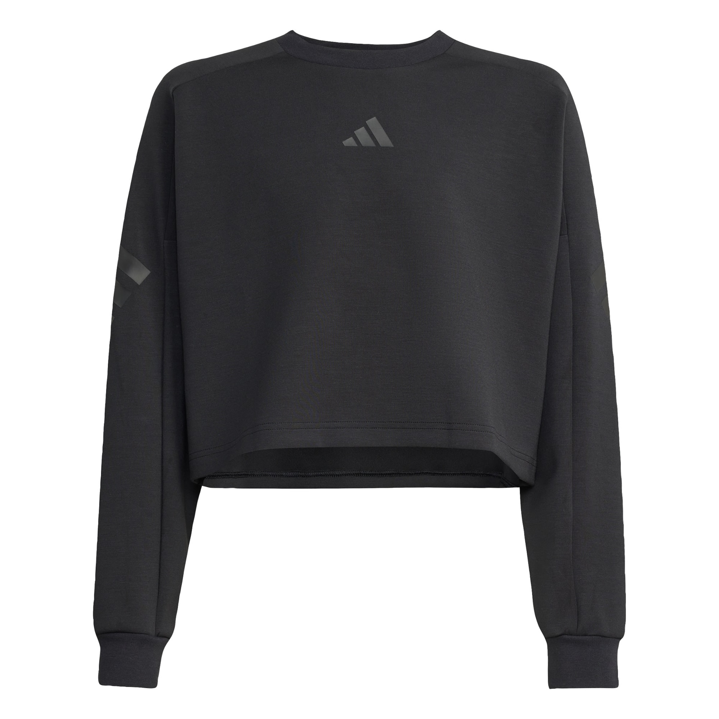Adidas Sportswear Свитшот 'Future Icons' в черном цвете
Adidas Sportswear Свитшот 'Future Icons' в черном цвете