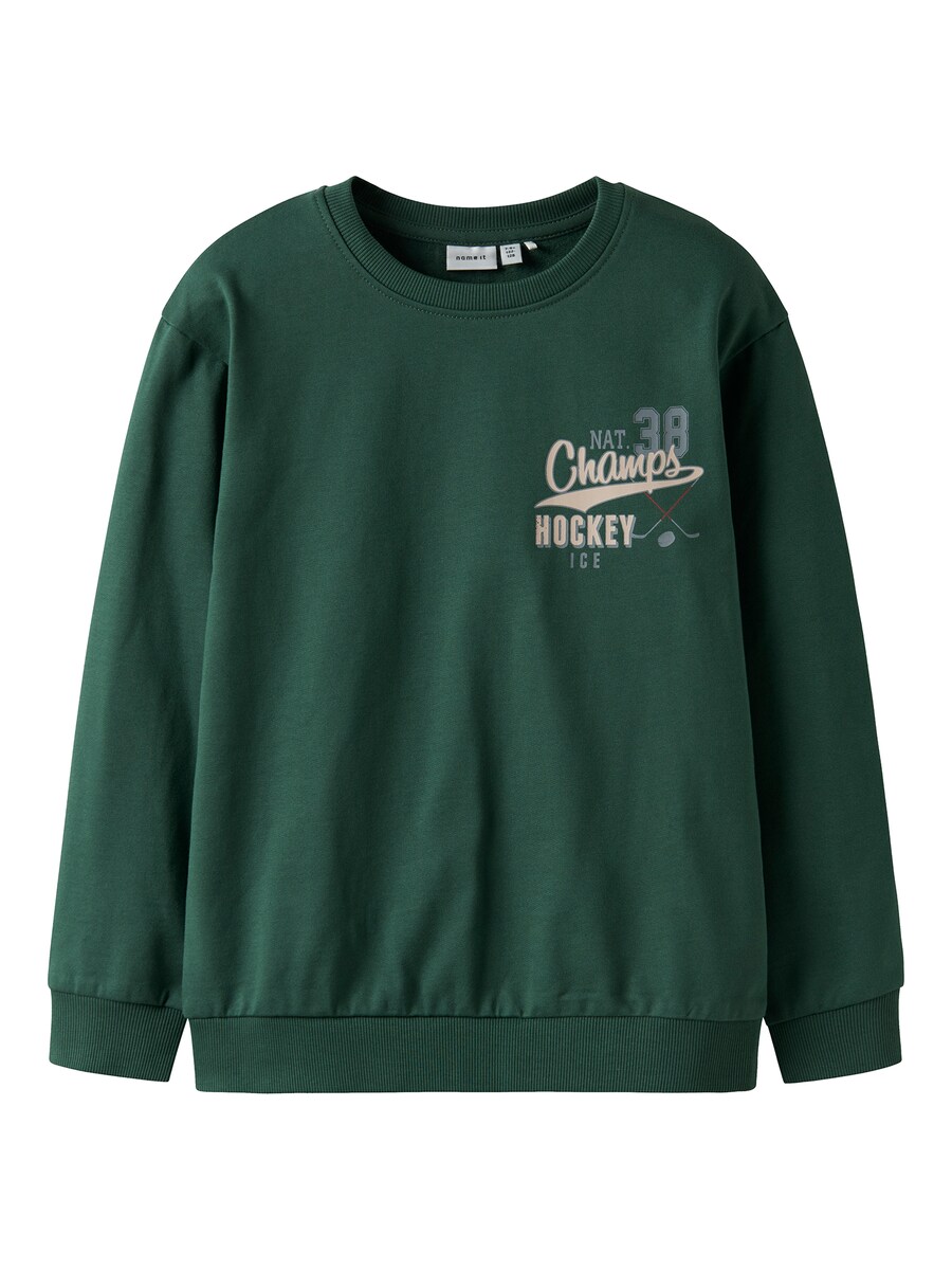 Толстовка NAME IT NKMSAUL, изумрудный
Толстовка NAME IT NKMSAUL, изумрудный