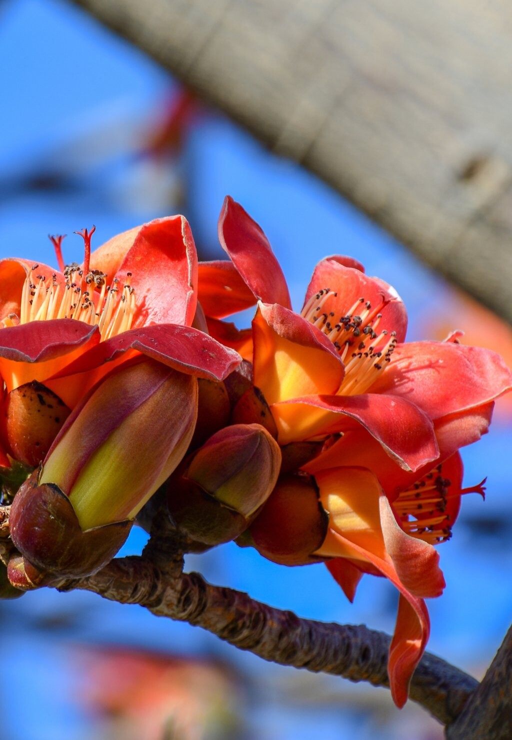 Сыворотка FOURTY-FIRST° FACE SERUM 3 C PRO, HYDRA FACE SERUM GEL. DIGITAL STRESS PROTECTION. Fourty-First°, бежевый
Сыворотка FOURTY-FIRST° FACE SERUM 3 C PRO, HYDRA FACE SERUM GEL. DIGITAL STRESS PROTECTION. Fourty-First°, бежевый