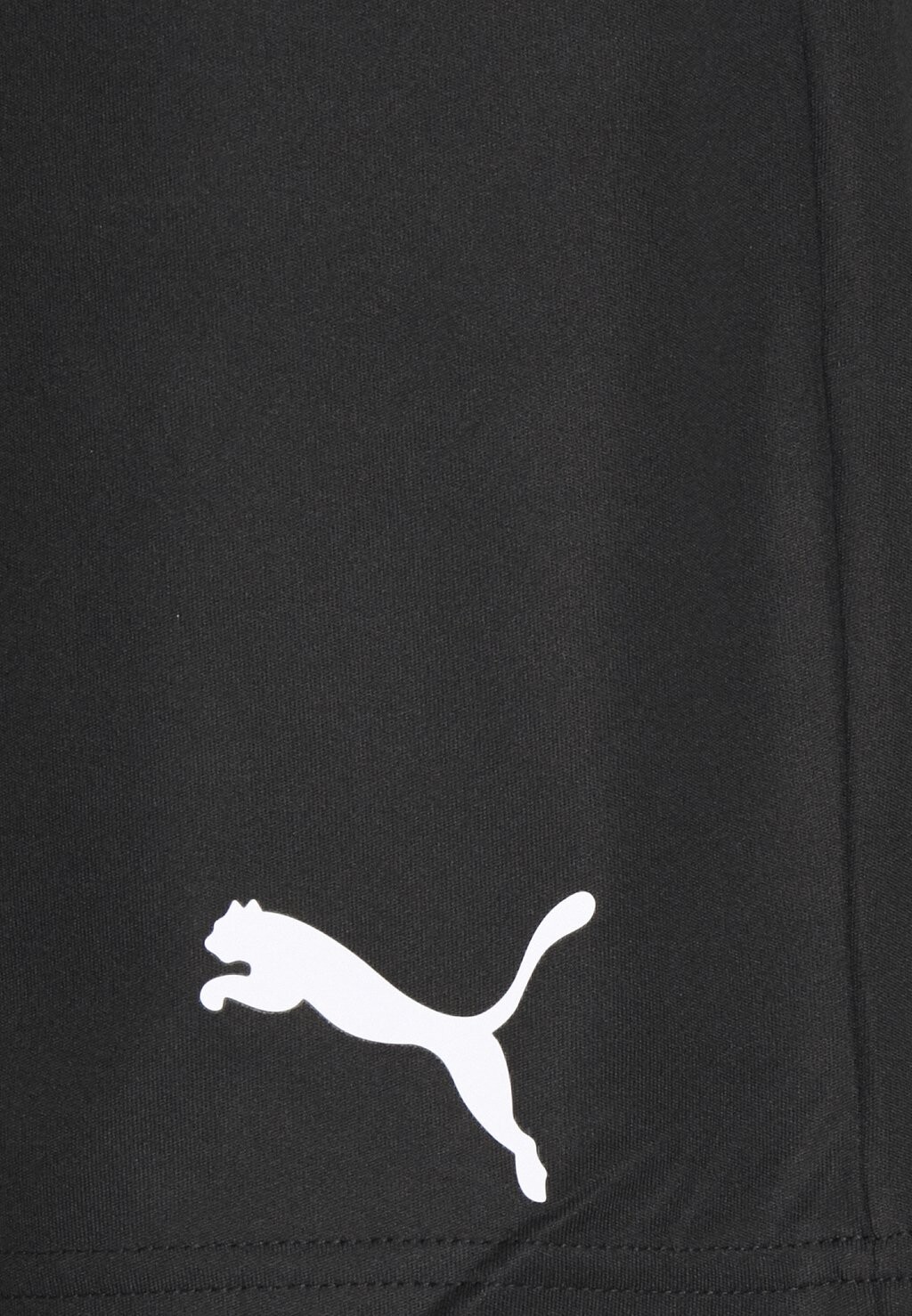 короткие спортивные штаны Teamrise Training Shorts Puma, чёрный/белый
короткие спортивные штаны Teamrise Training Shorts Puma, чёрный/белый