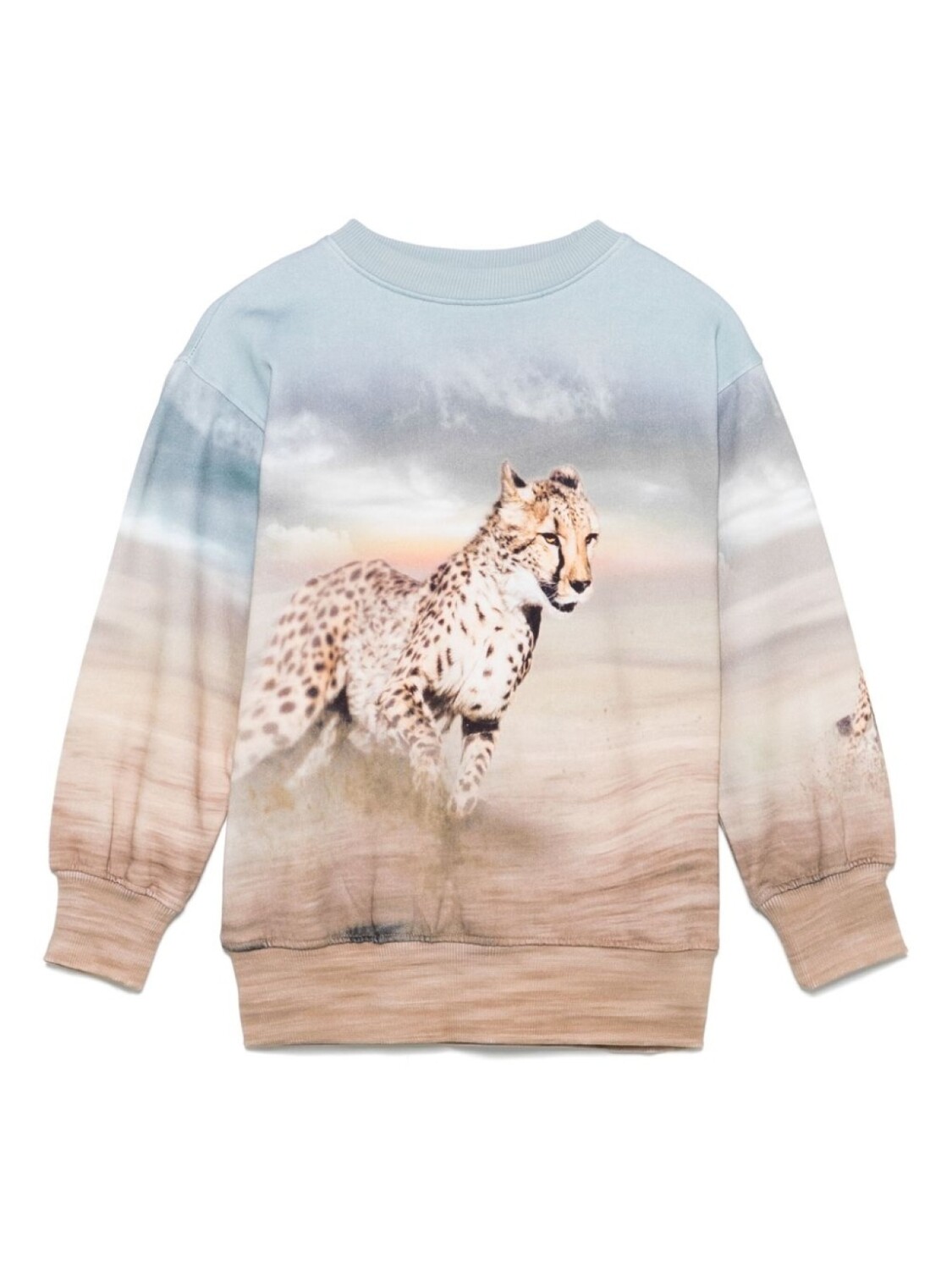 Molo толстовка Mattis, синий
Molo толстовка Mattis, синий