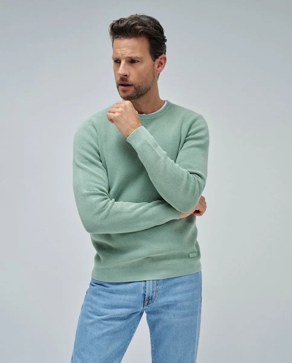 Простой мужской свитер Salsa Jeans, зеленый
Простой мужской свитер Salsa Jeans, зеленый