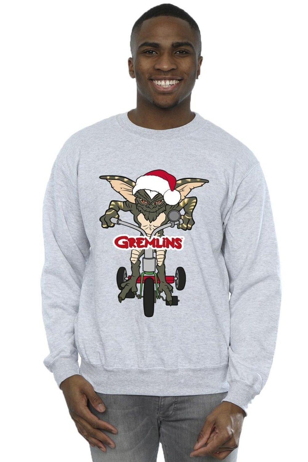Толстовка с логотипом Bike Gremlins, серый
Толстовка с логотипом Bike Gremlins, серый