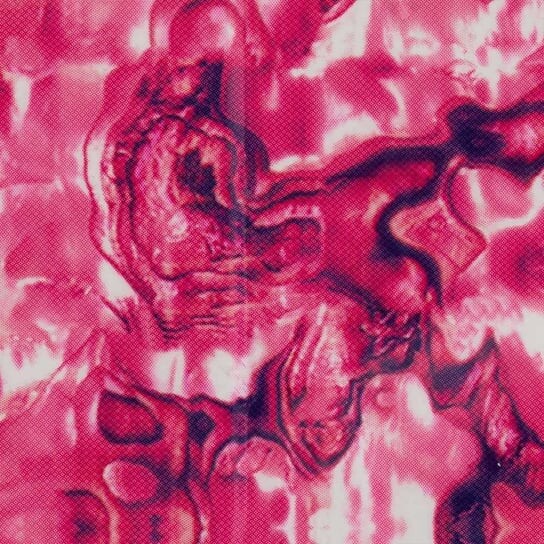 Фольга для переноса ногтей, Molly Lac
Фольга для переноса ногтей, Molly Lac