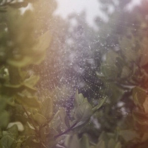 Сингл 7" Posse: Perfect H / Voices
Сингл 7" Posse: Perfect H / Voices