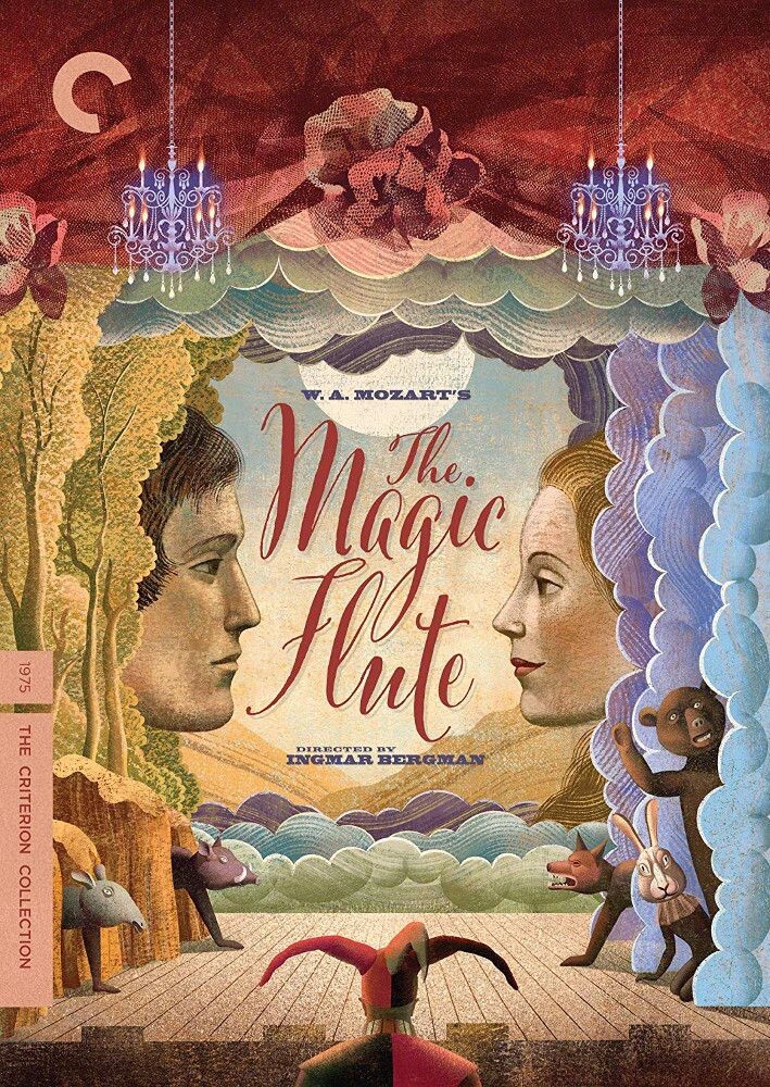 Диск DVD Magic Flute
Диск DVD Magic Flute