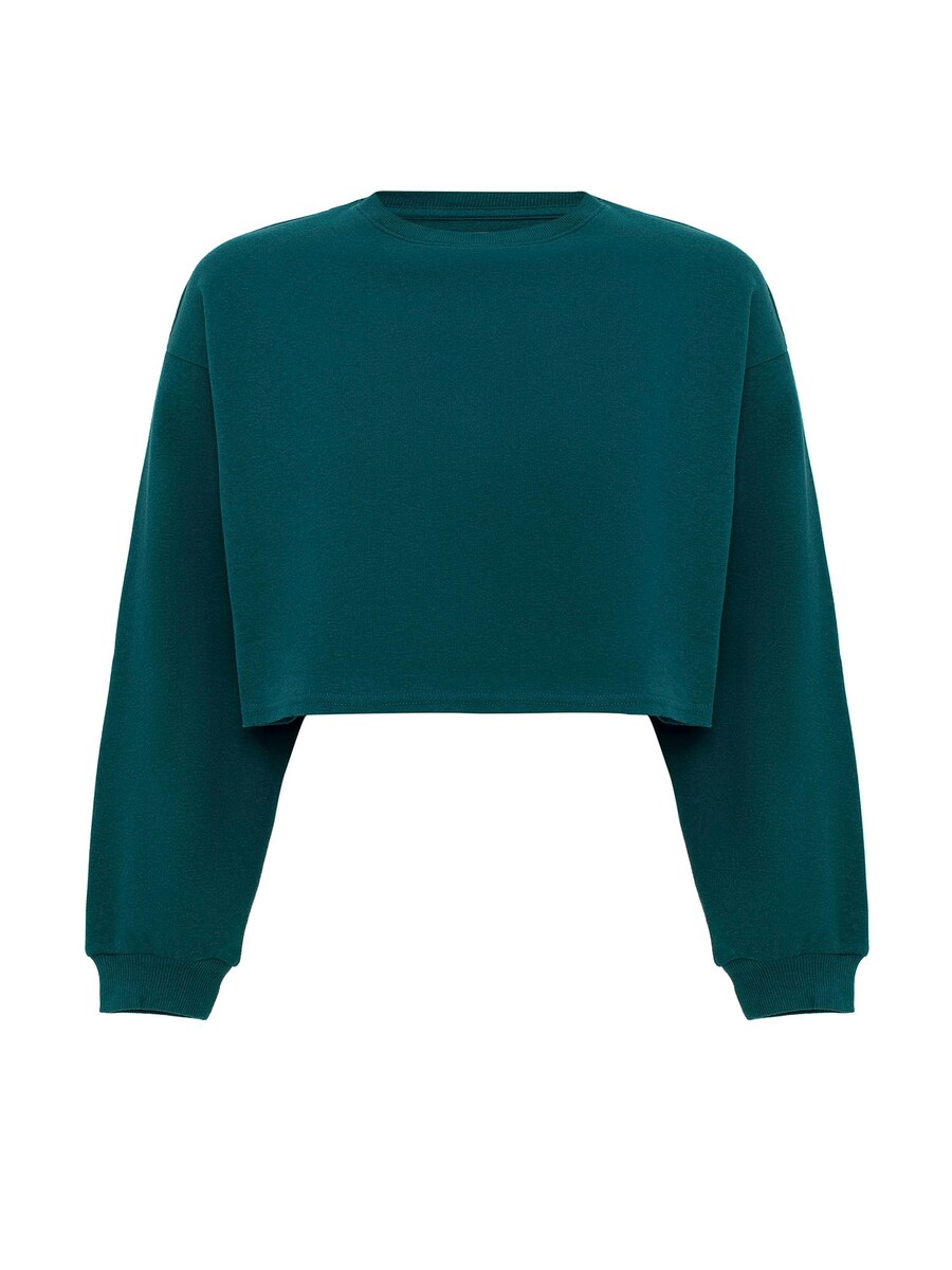 Толстовка Jacey Quinn Elsa, зеленый
Толстовка Jacey Quinn Elsa, зеленый