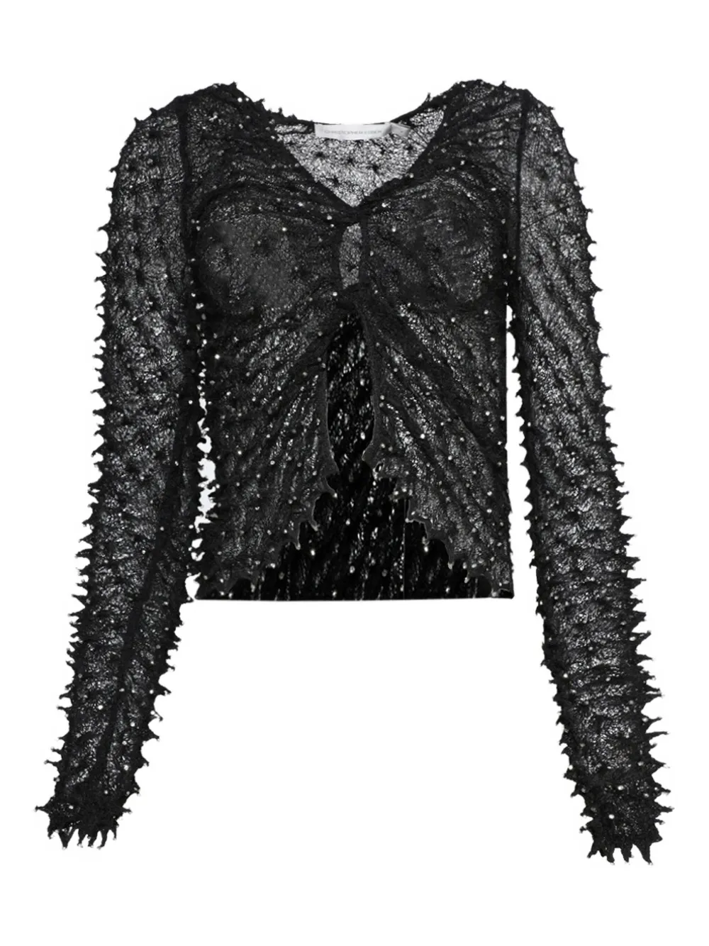 Топ Shibori с кристаллами Christopher Esber, черный
Топ Shibori с кристаллами Christopher Esber, черный