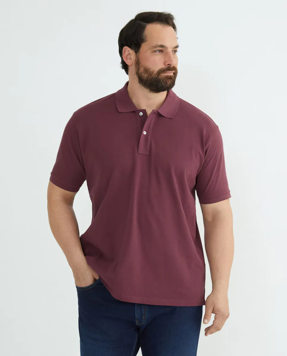 Мужская поло, большие размеры, короткий рукав Dustin, бордовый
Мужская поло, большие размеры, короткий рукав Dustin, бордовый