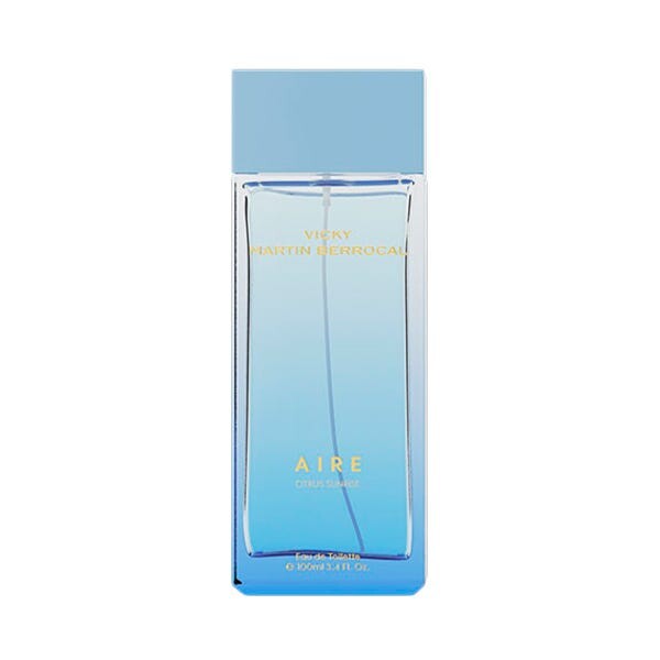 Вики Мартин Беррокаль Эдт Эйр 100 мл Vicky Martin Berrocal
Вики Мартин Беррокаль Эдт Эйр 100 мл Vicky Martin Berrocal
