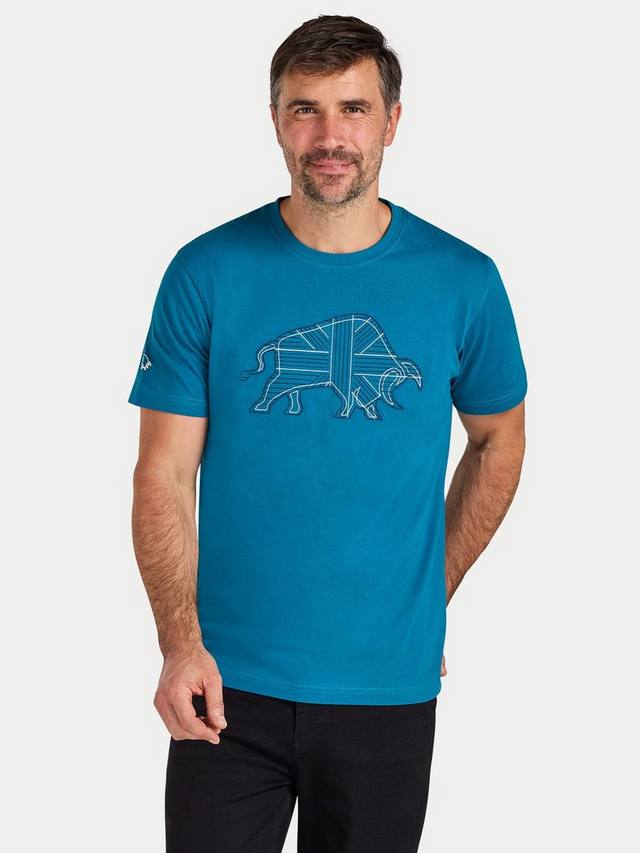 Футболка с вышивкой Stitch Raging Bull, Teal
Футболка с вышивкой Stitch Raging Bull, Teal