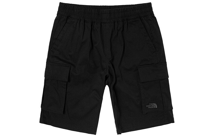 THE NORTH FACE Мужские повседневные шорты, цвет Black
THE NORTH FACE Мужские повседневные шорты, цвет Black