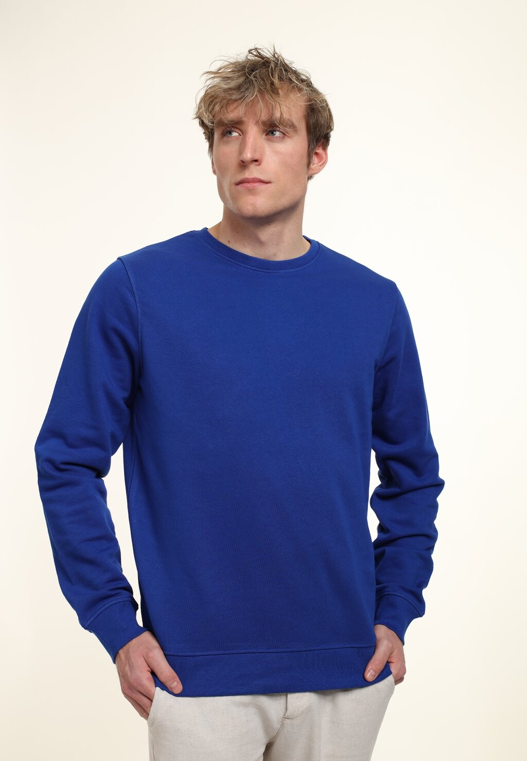 Толстовка REGULAR FIT CREWNECK Henry Tiger, синий
Толстовка REGULAR FIT CREWNECK Henry Tiger, синий