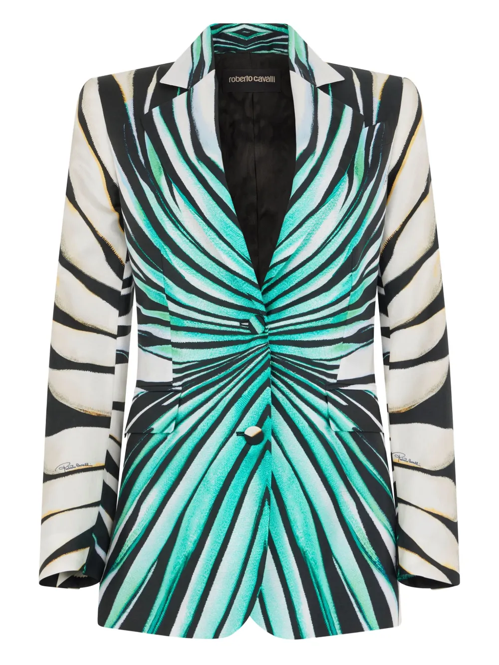 Пиджак с принтом Roberto Cavalli, синий
Пиджак с принтом Roberto Cavalli, синий