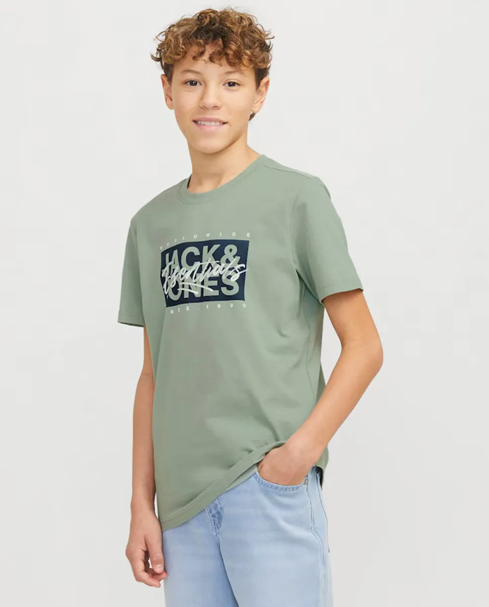 Футболка для мальчиков с короткими рукавами и логотипом спереди Jack & Jones, светло-зеленый
Футболка для мальчиков с короткими рукавами и логотипом спереди Jack & Jones, светло-зеленый