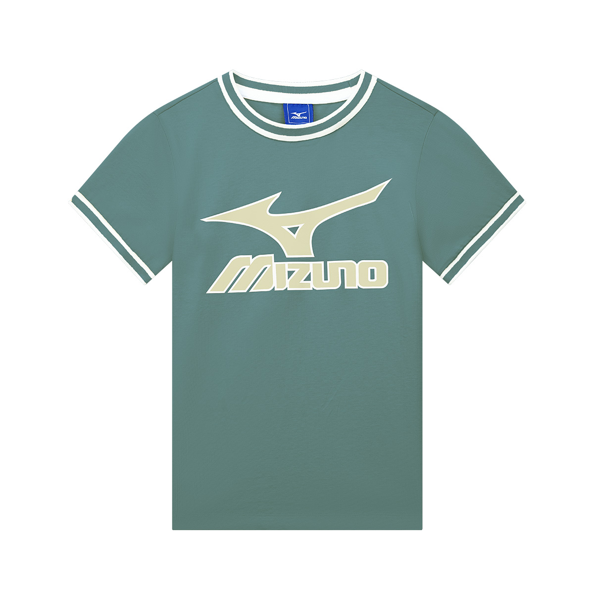 Детская футболка Mizuno, серо-зеленый
Детская футболка Mizuno, серо-зеленый