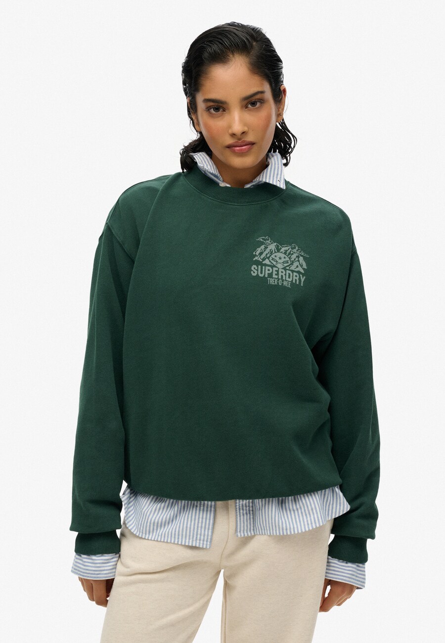 Толстовка Superdry Lo-fi Outdoor, темно-зеленый
Толстовка Superdry Lo-fi Outdoor, темно-зеленый