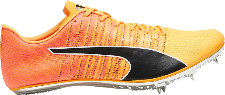 Кроссовки evoSpeed Brush 6 'Sun Stream Black', оранжевый
Кроссовки evoSpeed Brush 6 'Sun Stream Black', оранжевый