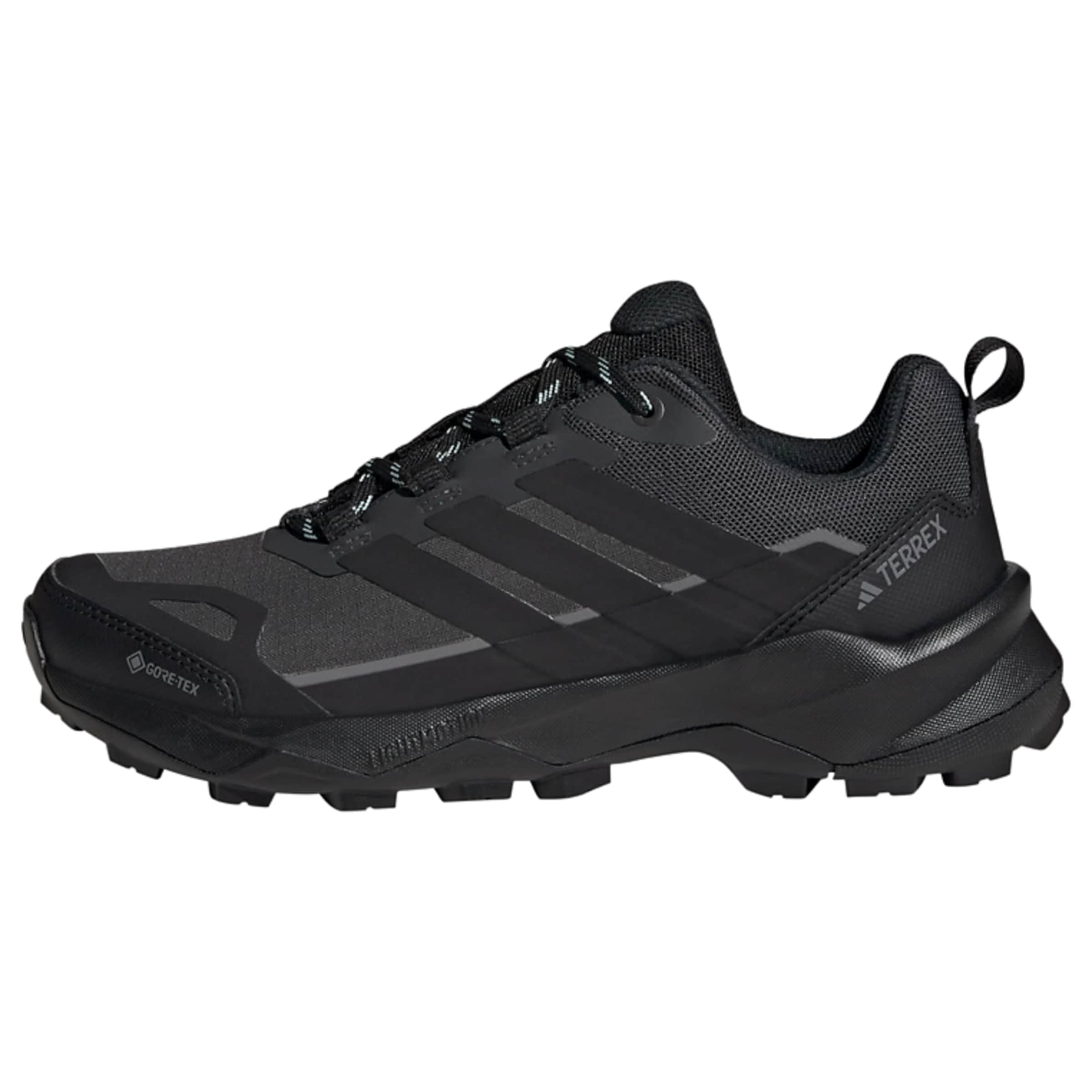 ADIDAS TERREX Flats 'Skychaser AX5' в цвете Anthracite
ADIDAS TERREX Flats 'Skychaser AX5' в цвете Anthracite