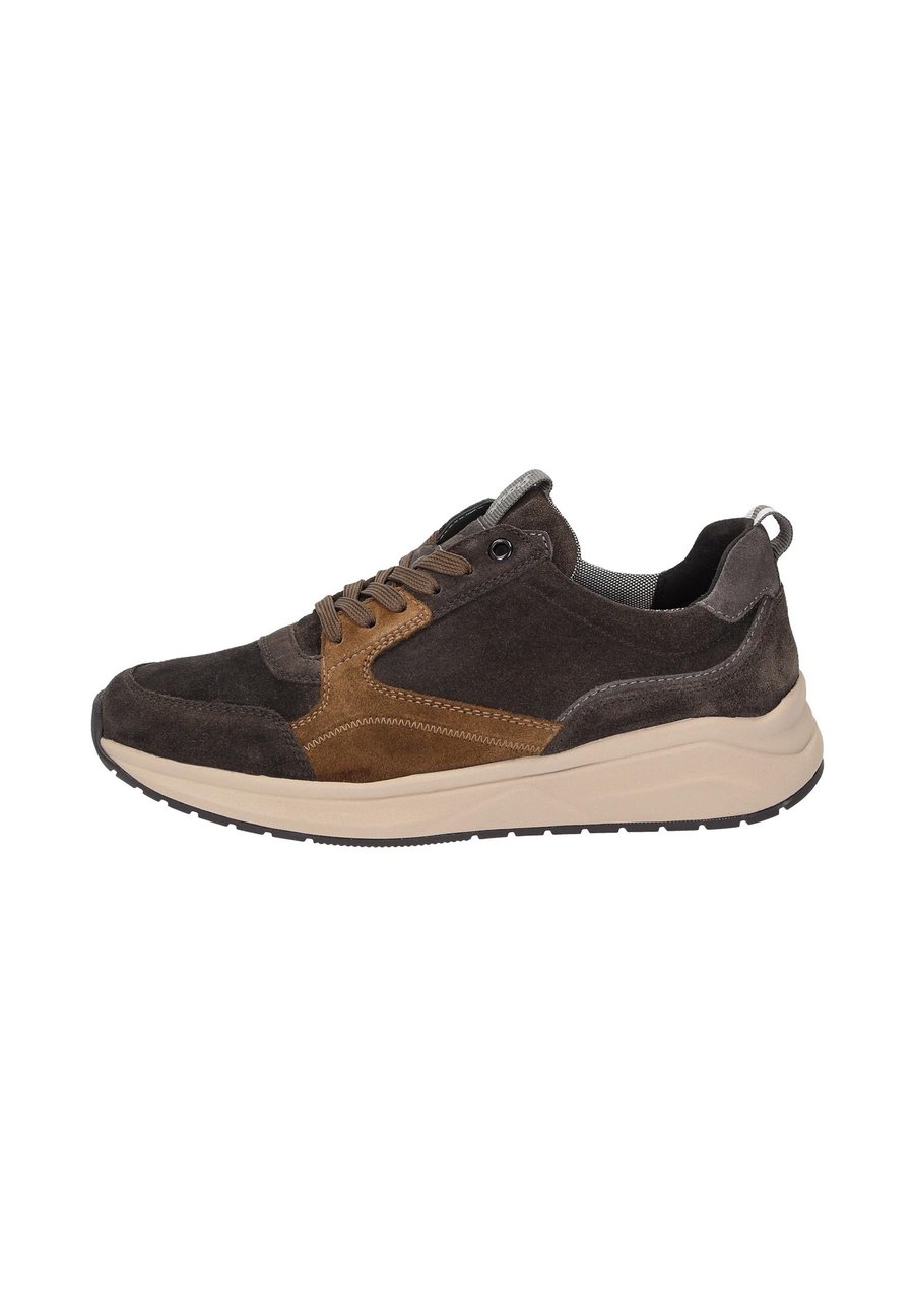 Кроссовки Sioux Trainers, Braun/Brown
Кроссовки Sioux Trainers, Braun/Brown