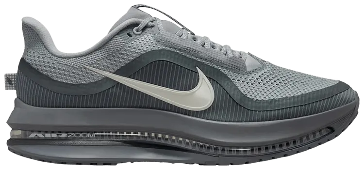 Кроссовки Nike Air Zoom Pegasus Premium, серый
Кроссовки Nike Air Zoom Pegasus Premium, серый
